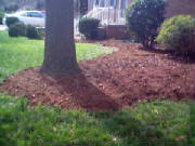 landscappic1.jpg